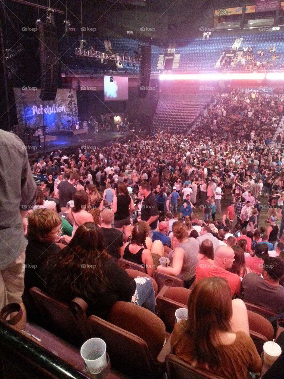 People, Music, Concert, Audience, Many