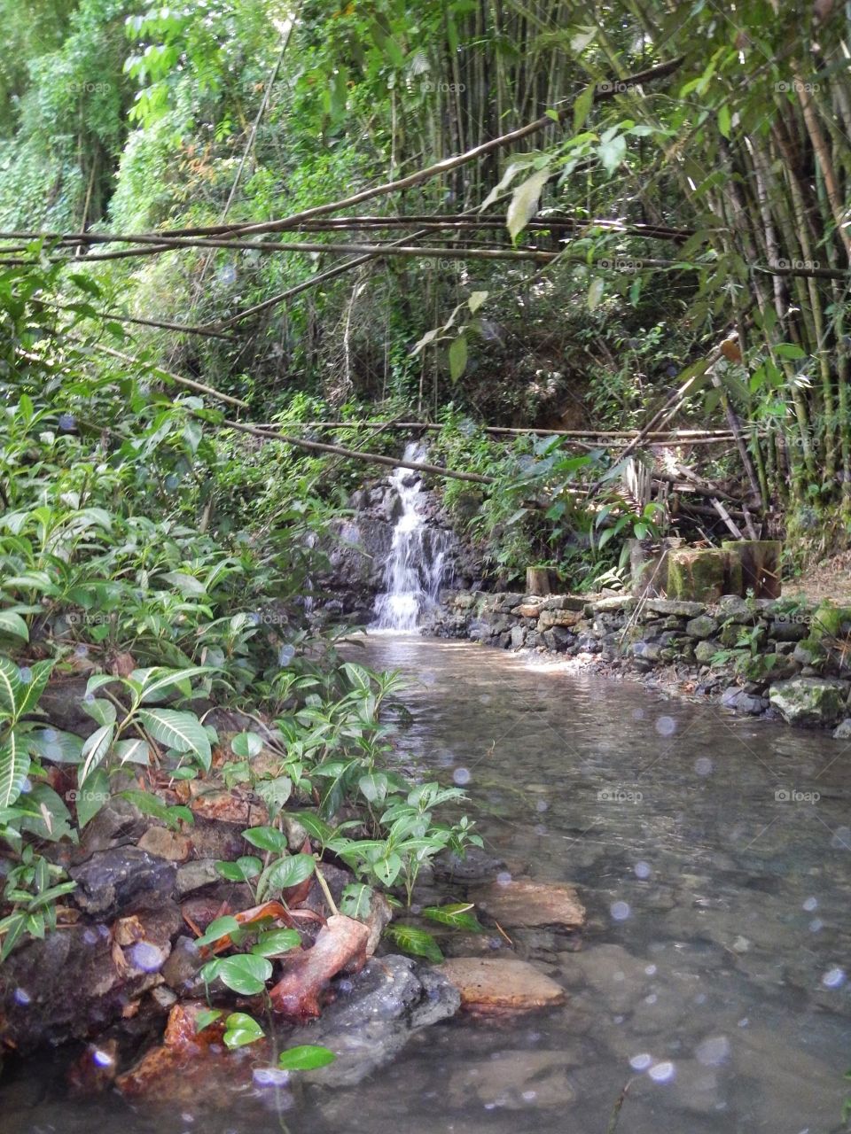 Waterfall. a small waterfall in Jamaica