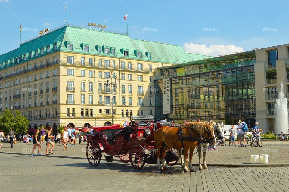 Tour  on horses