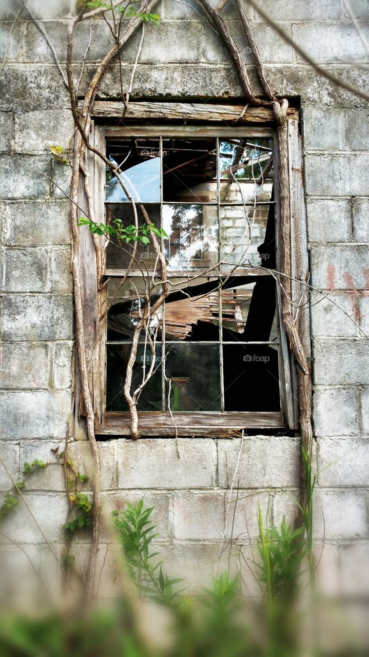 window to an old soul