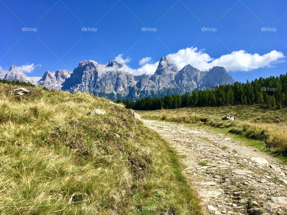mountain landscape with pasture grass and path. In the background, the Pale of San Martino.