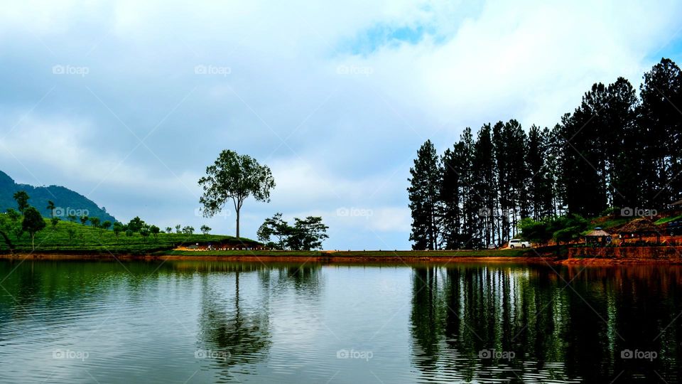 Nature's Mirror: Upcountry Reservoir's Calm Reflections