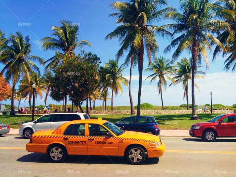 Miami Beach. Bright yellow cab riding Miami Beach streets 🌴🇺🇸🚕