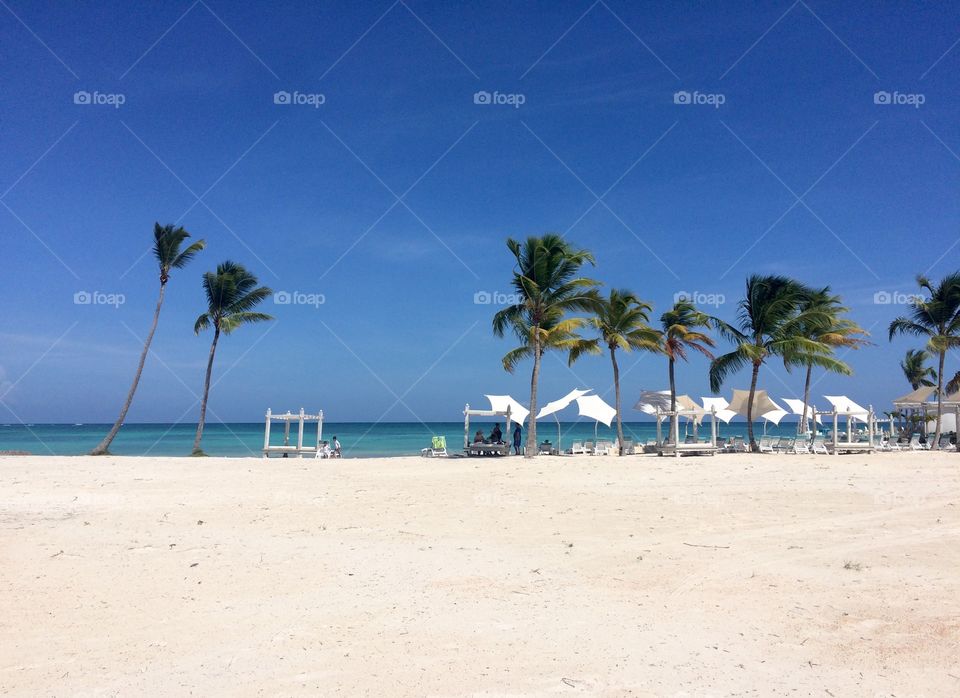 Beach Canopies 