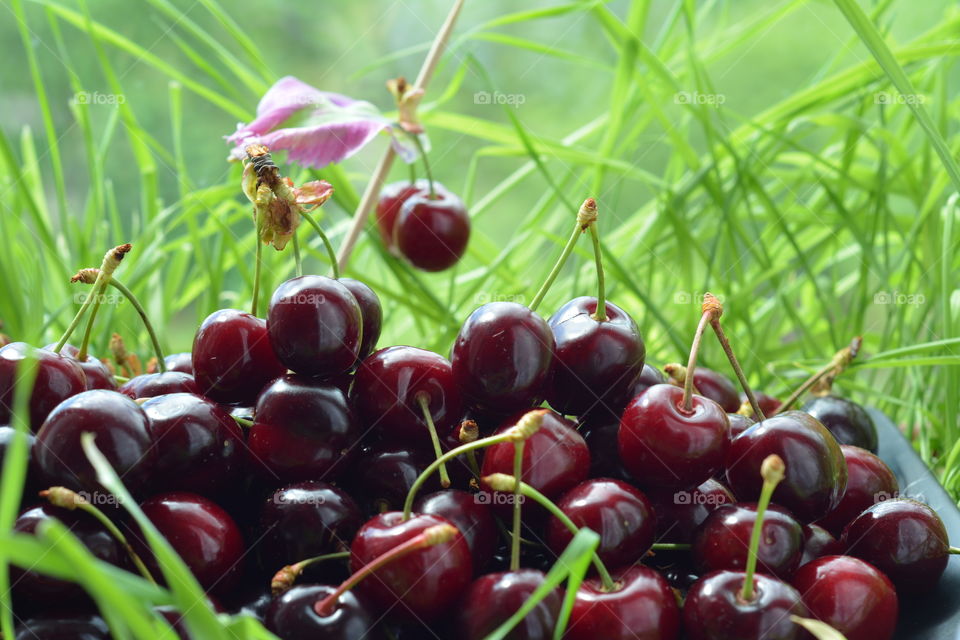 Fruit, Food, Cherry, Healthy, Confection