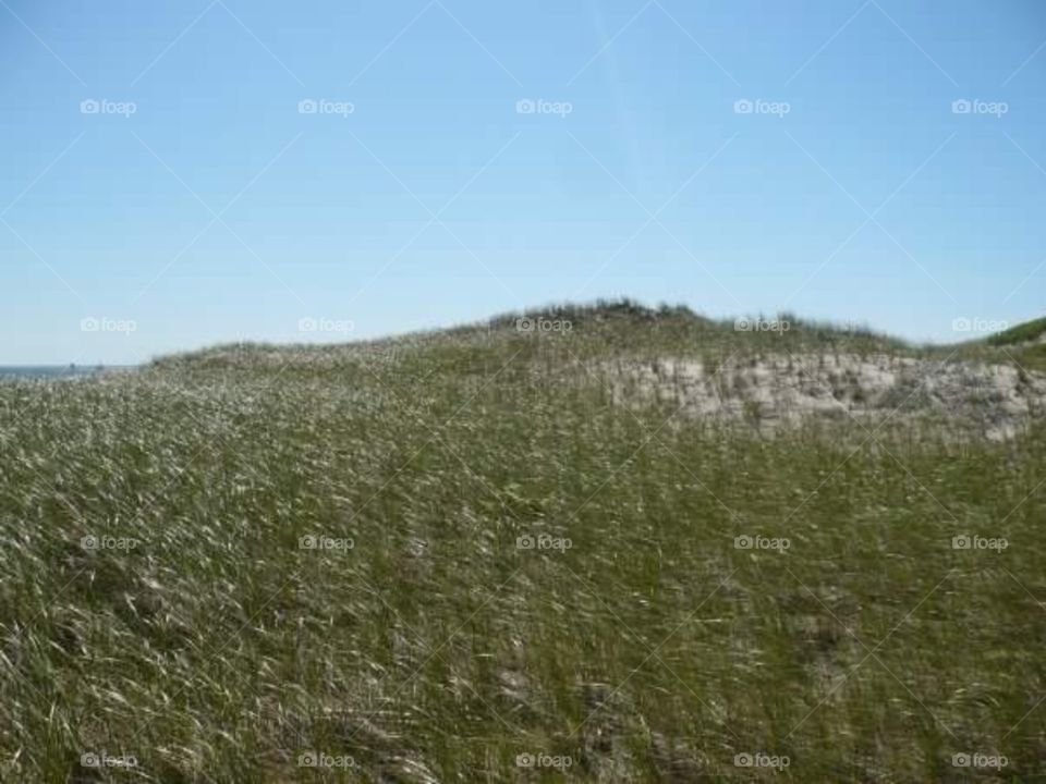 Sandy Neck Beach - Cape Cod Dunes