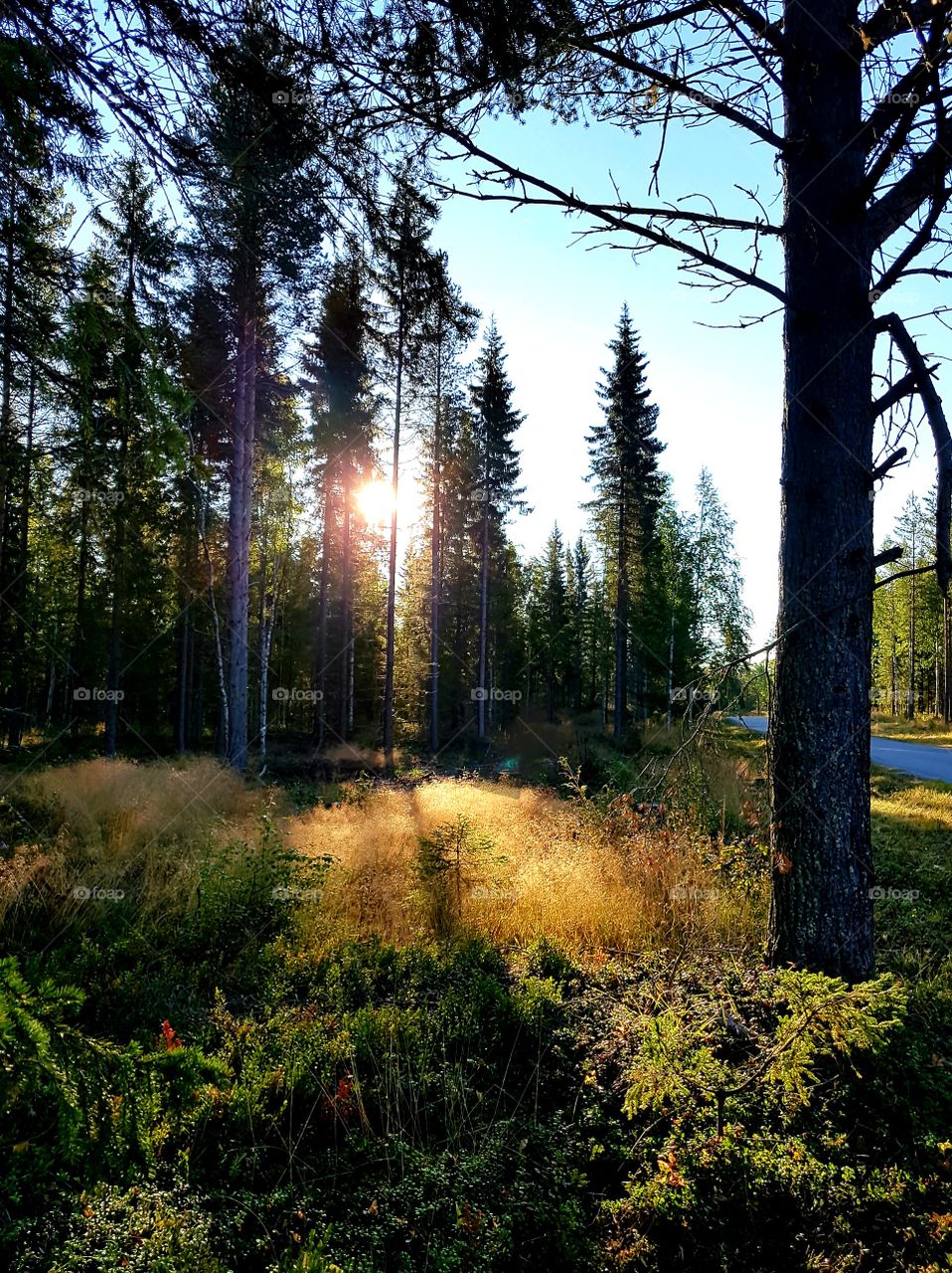 sunny september morning