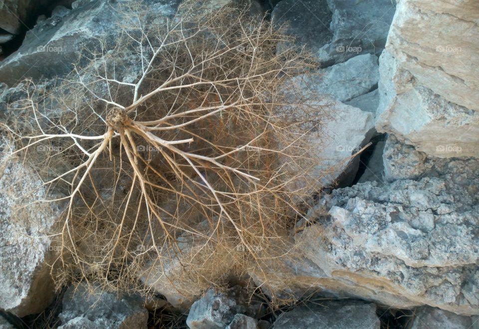 Nature, No Person, Rock, Landscape, Desert