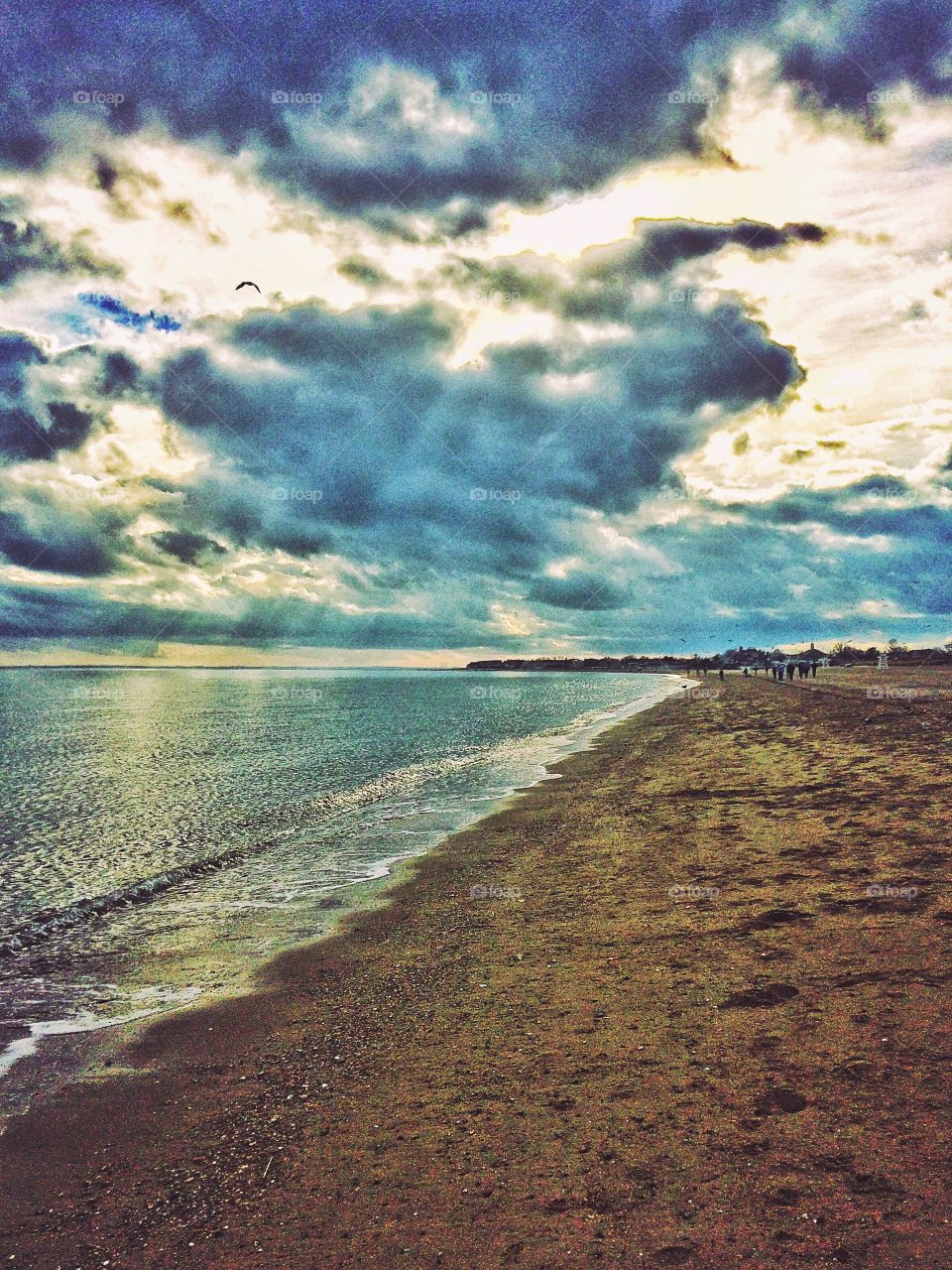 Thanksgiving at the beach 