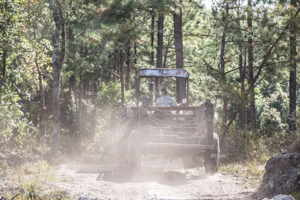 Tractor car in the forest 