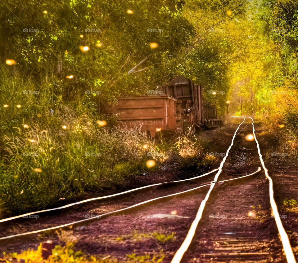 abandoned railway