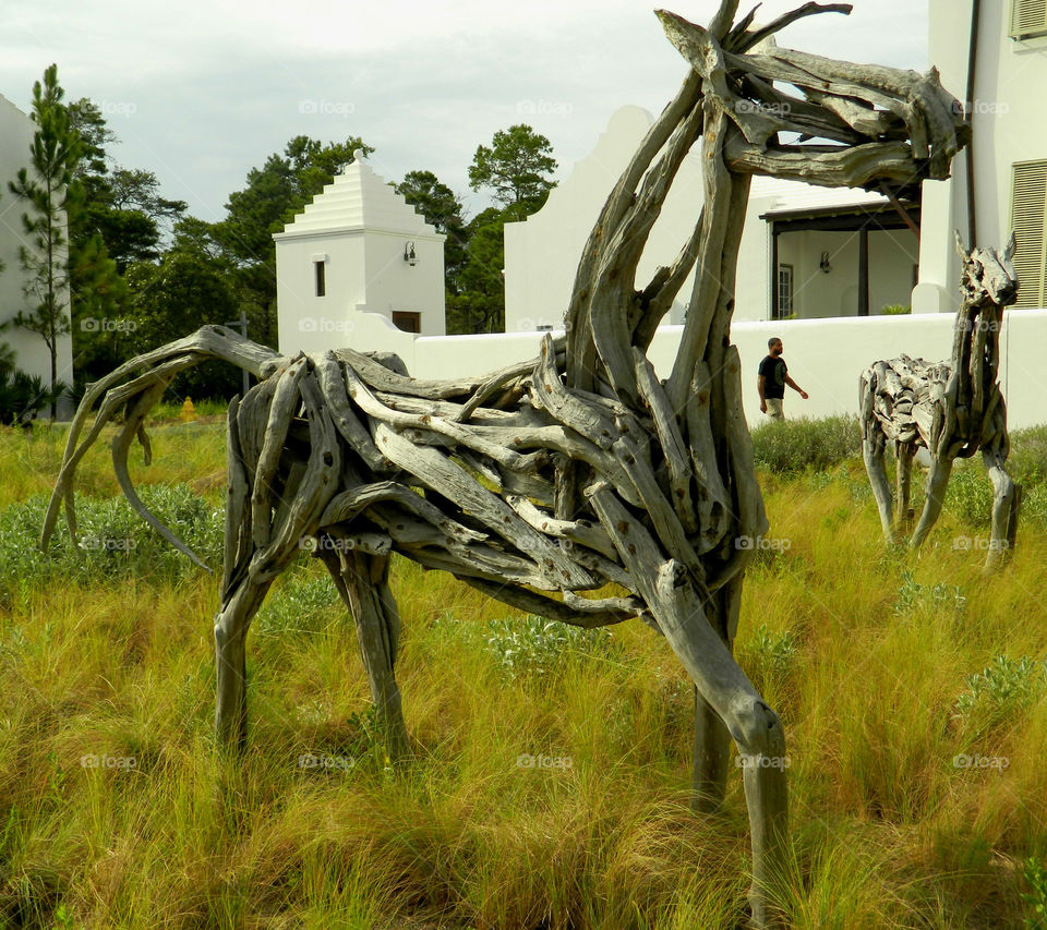 Wild Driftwood Horses. Two wild driftwood horses standing in a grassy area of an upscale neighborhood.