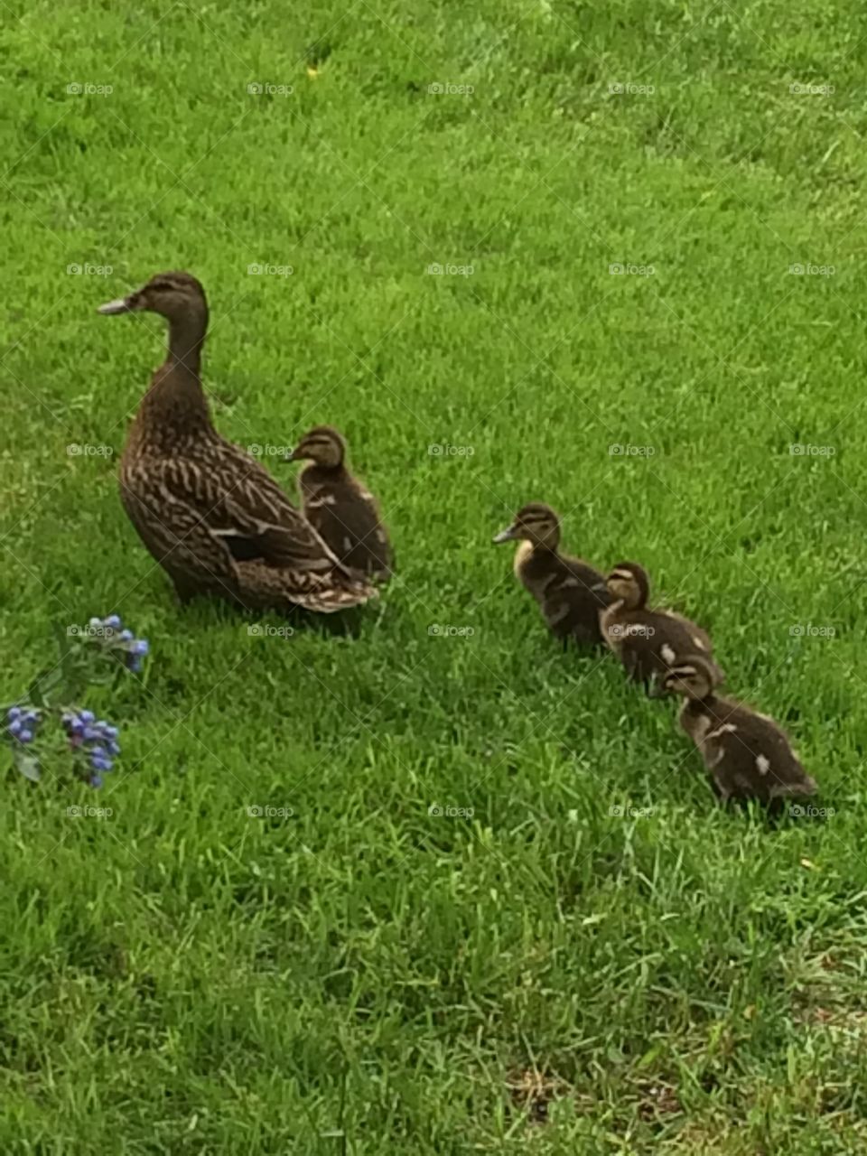 A mother with her cute kids
