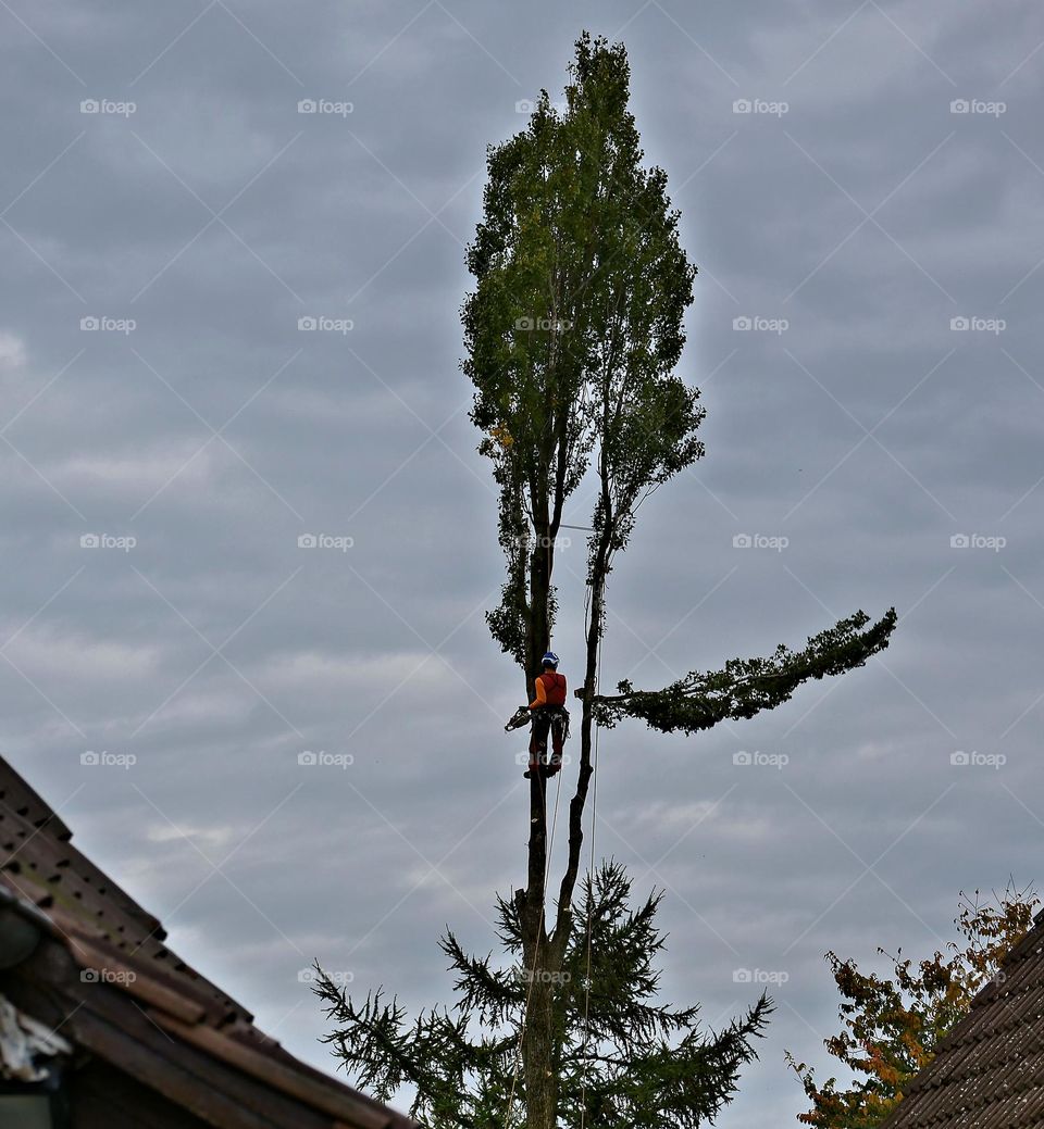 above the roofs