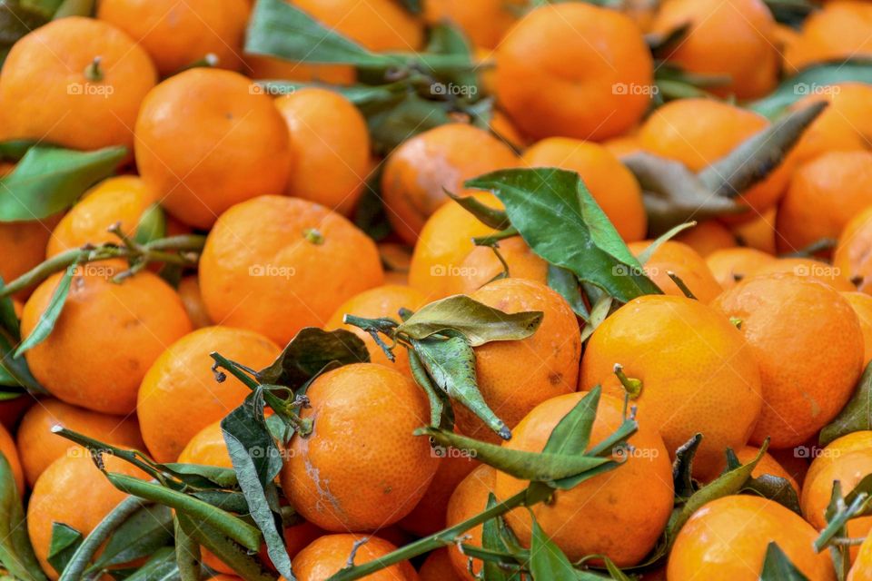 Full frame close-up photo of orange tangerines or sale on market