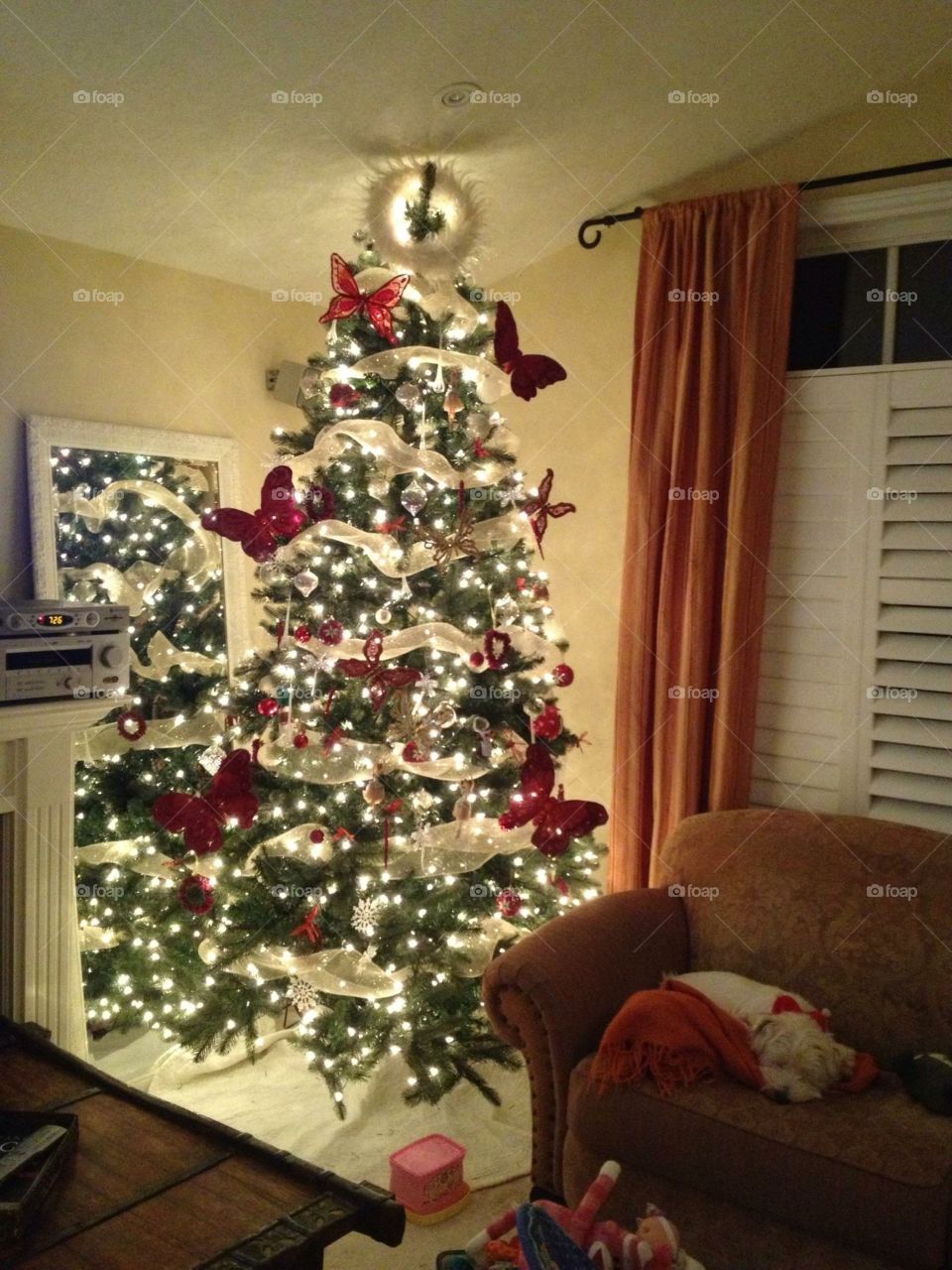 It’s the most wonderful time of the year!!