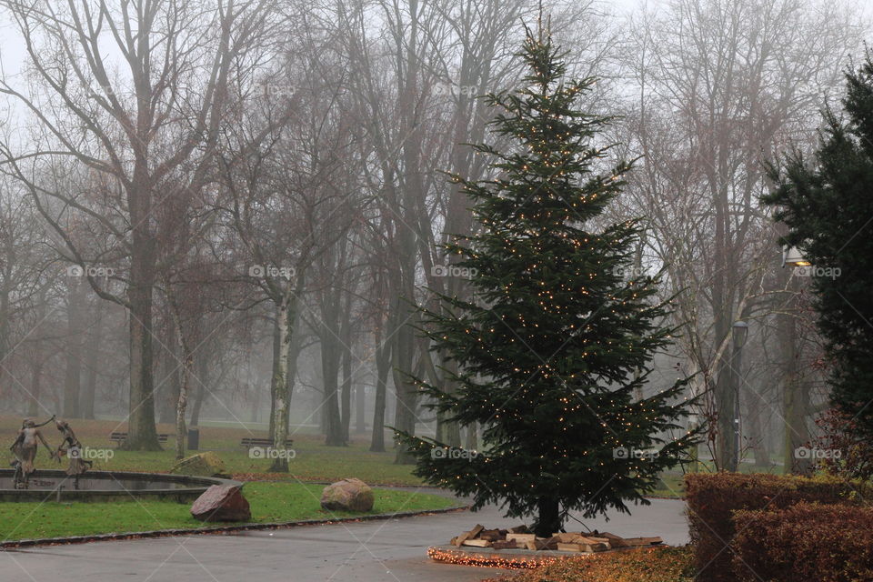 christmas tree with lights