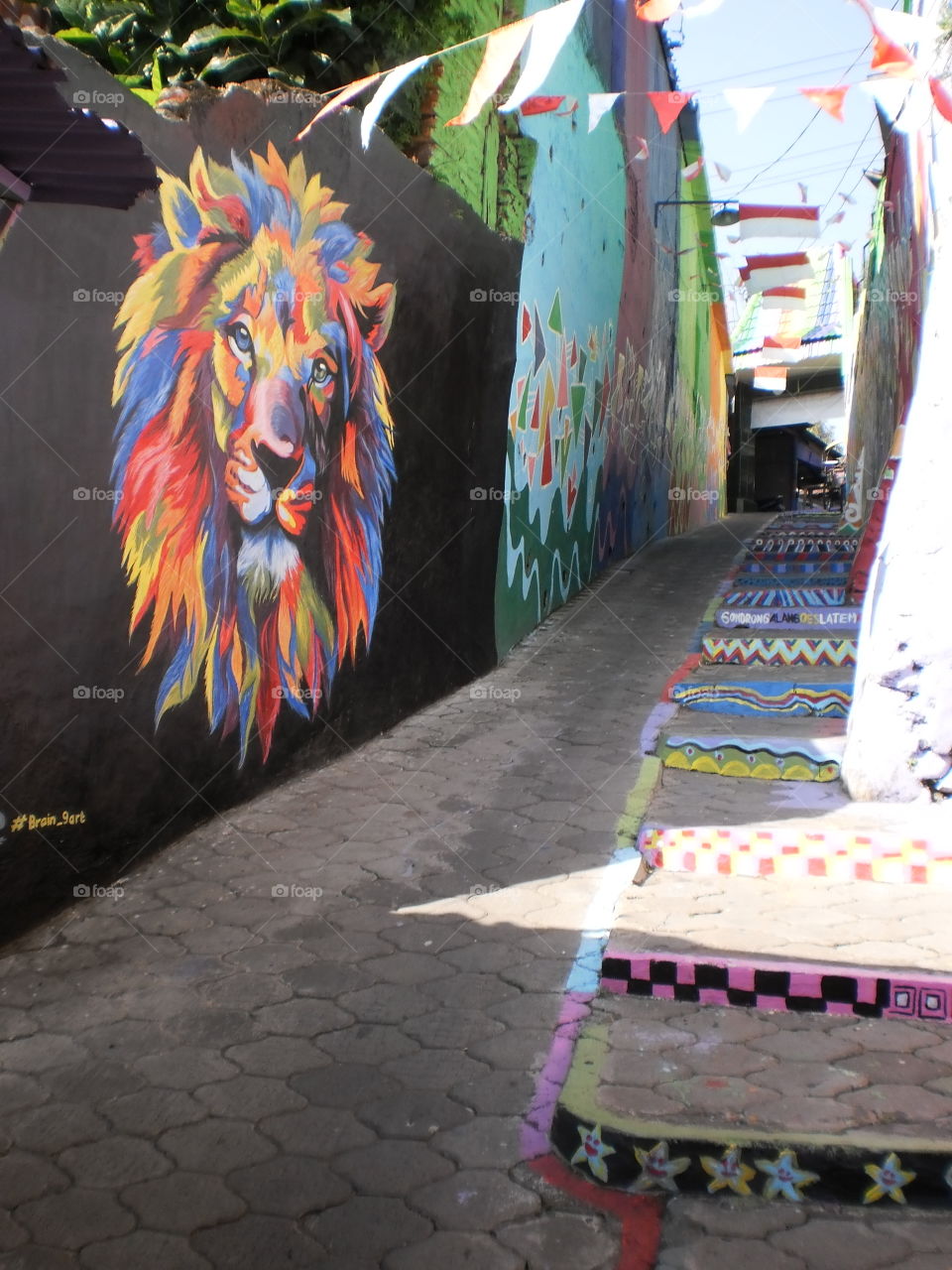 Lion Arema ( Jodipan Colour Village ) 2017