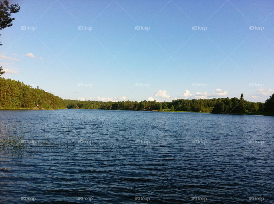 norway sky blue forest by greirik
