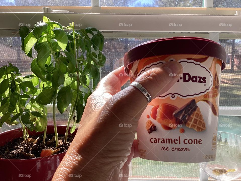 Ice cream delicious,caramel cone Dulce de leche