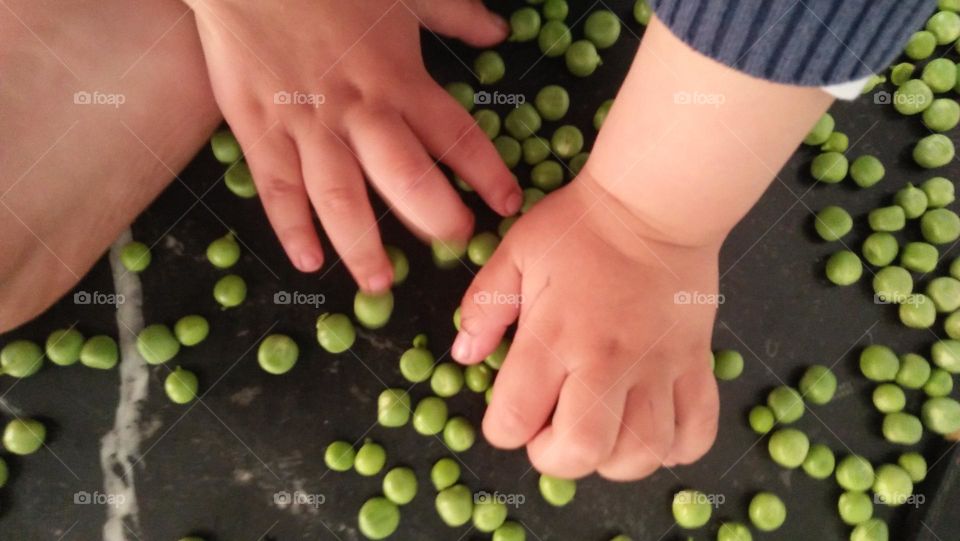 small hands play by peas.