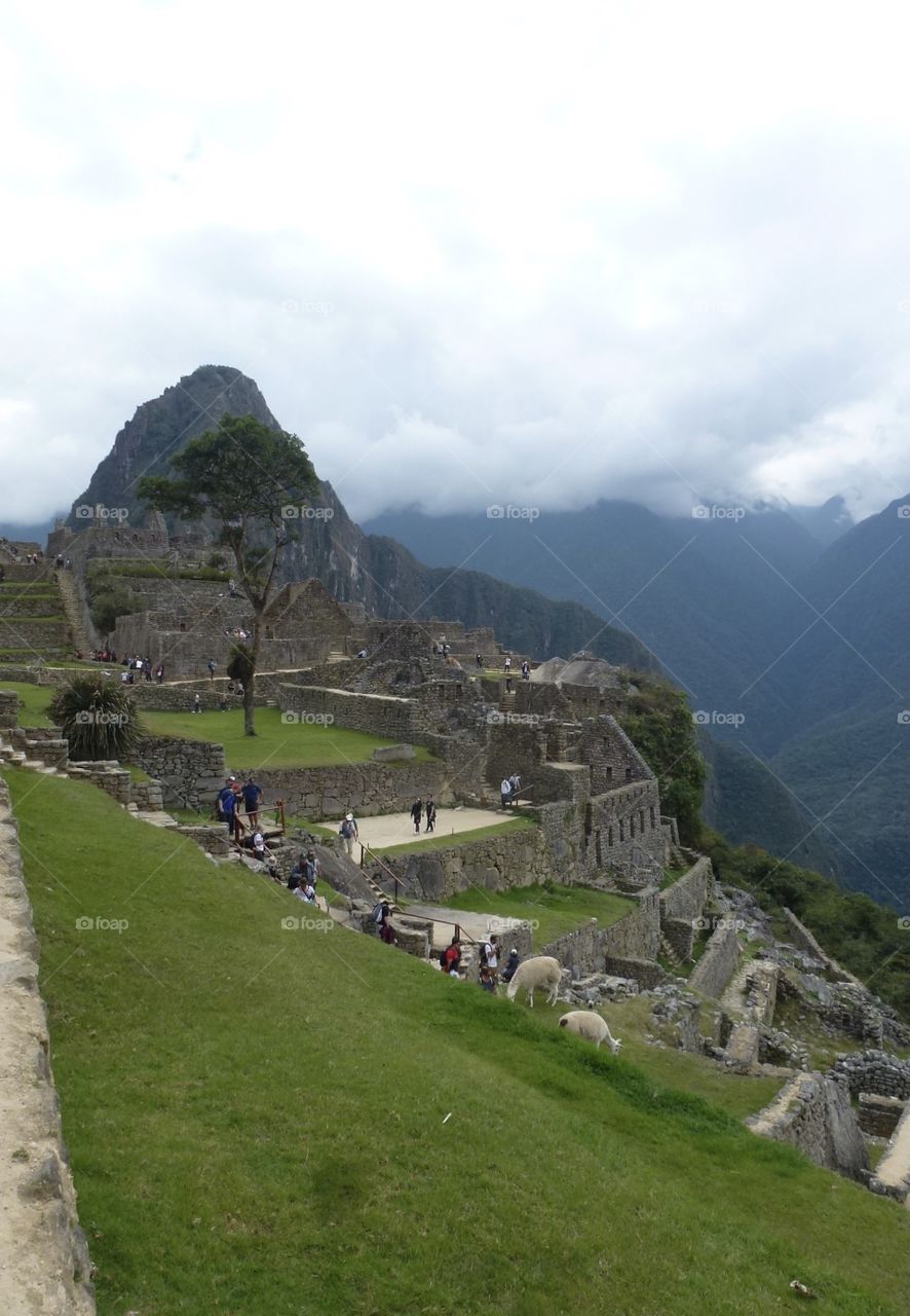 Machu Picchu 