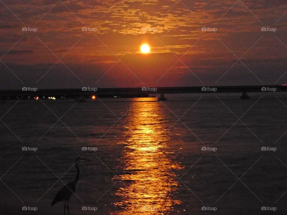 Beauty of the night - Hunters moon hovers over the bridge spilling it’s radiant beauty across the surface of the bay