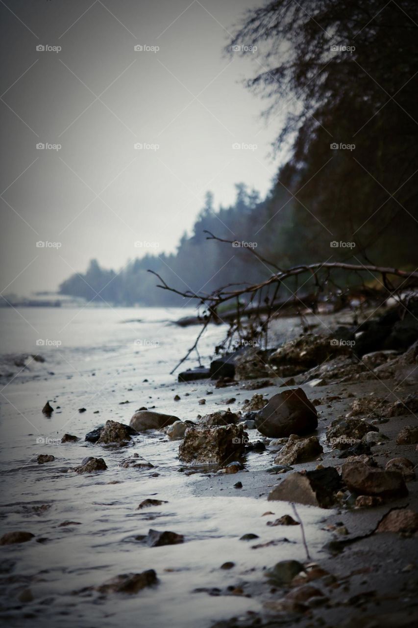 The Pacific Northwest shows it’s beautiful muted Winter colors on a rainy day at Owen Beach, Tacoma, Washington 