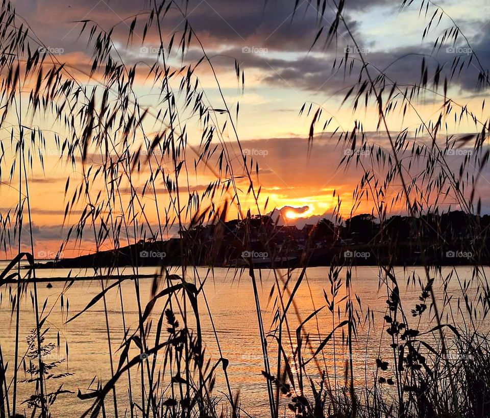 Sunset over the bay of Quiberon, view through tall grass