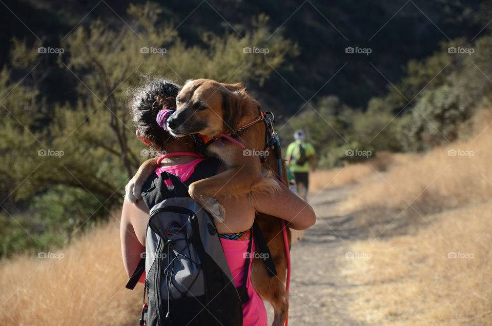 trekking con perritos