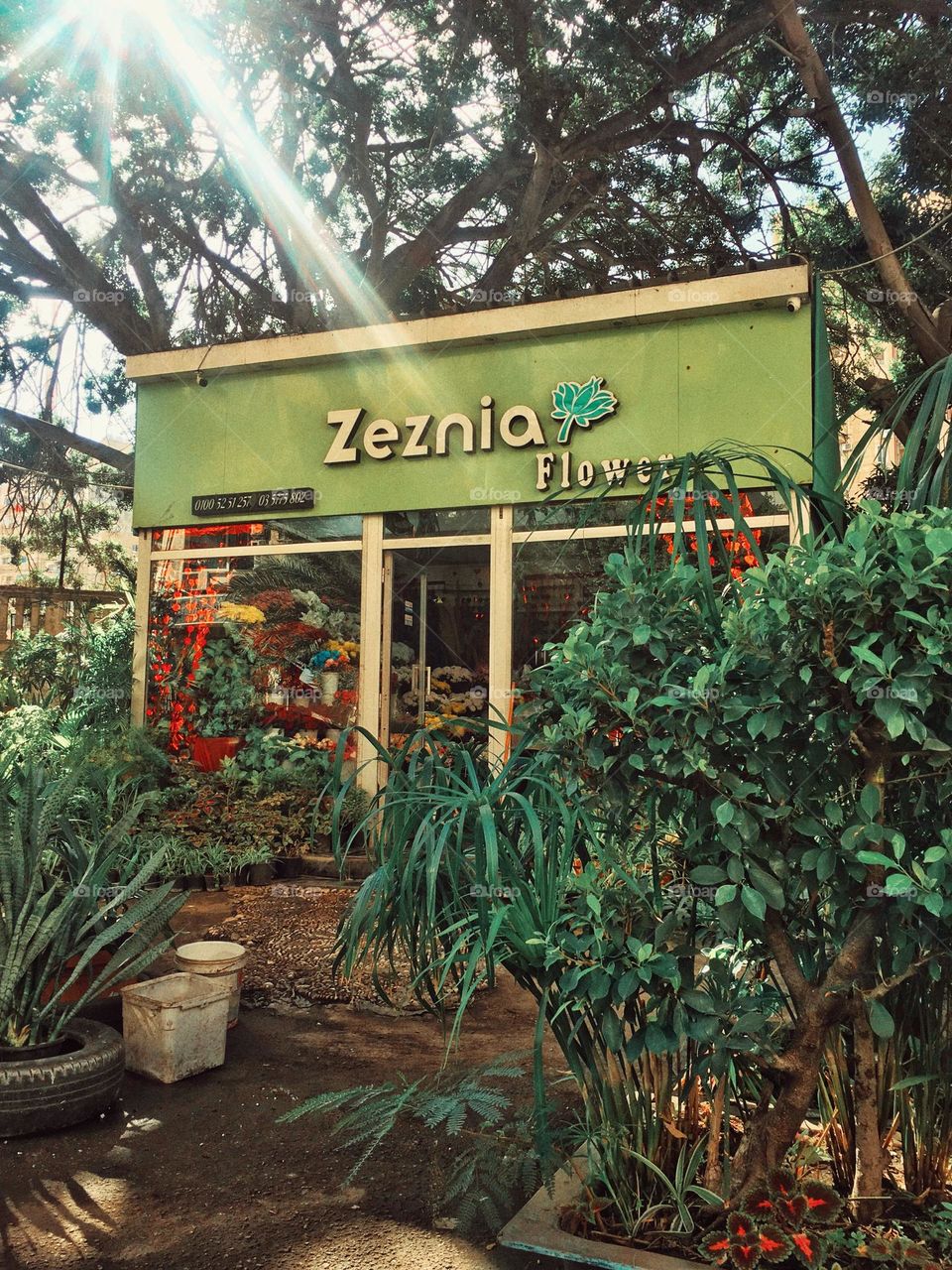 Flowers are the best 