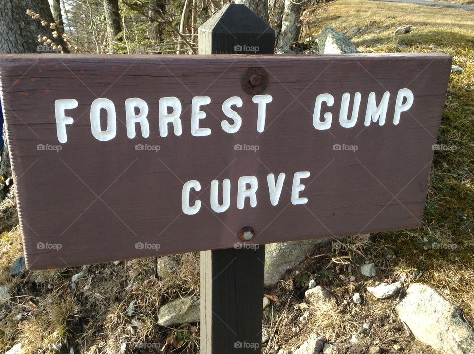 Forest Gump curve 