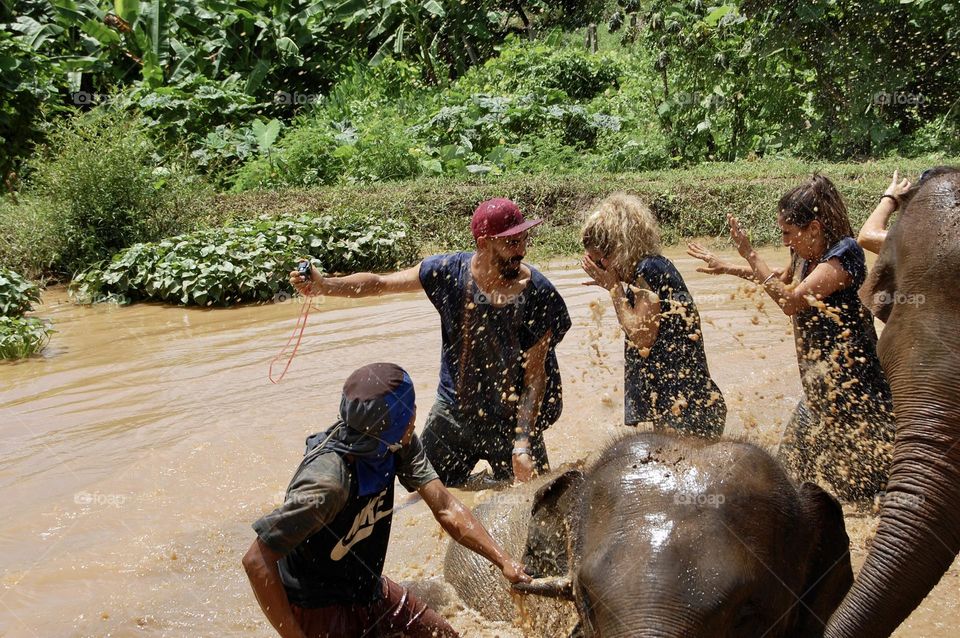 Elephant splashing people during selfie 