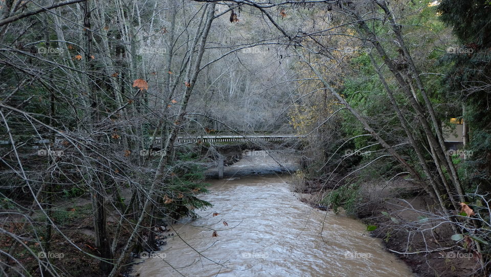 Bridge over a stream swelling with rain water