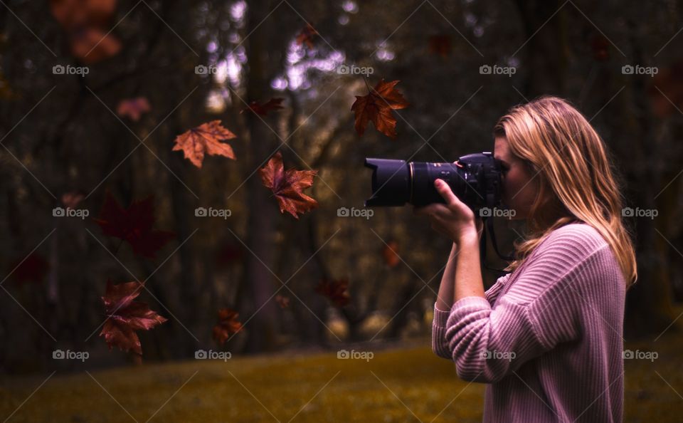 Photographing fall colors