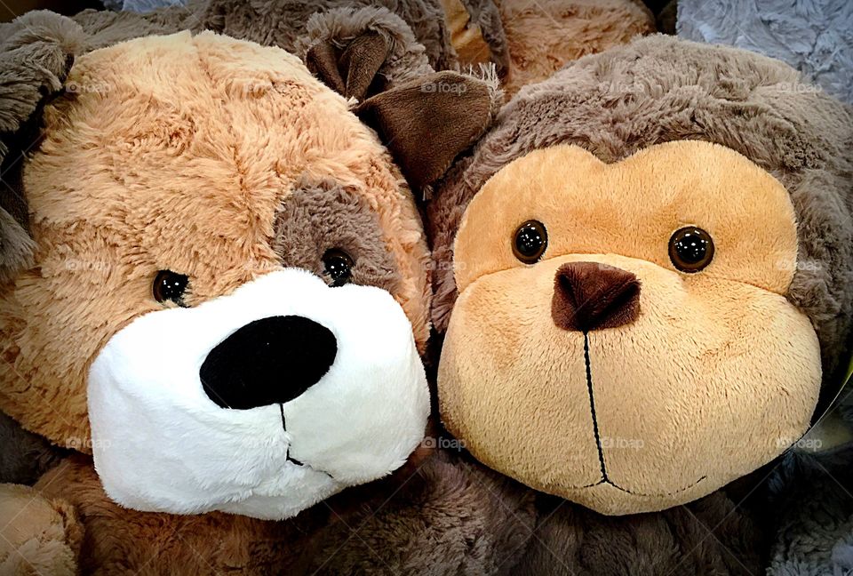 Cute toys. Cute plush animal toys
