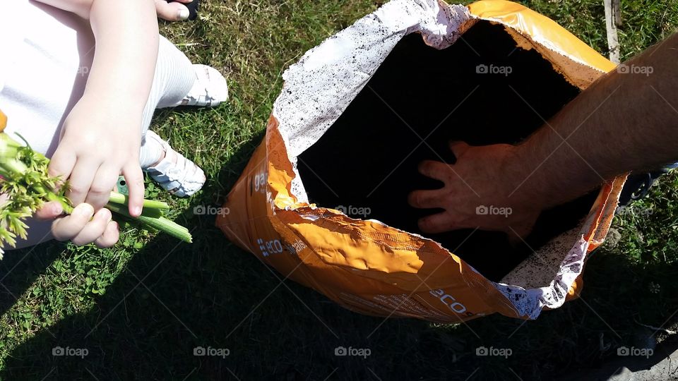 eating carrots and putting dirt on the garden