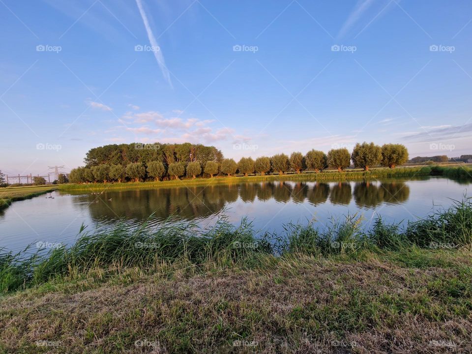 A smaller Island with trees