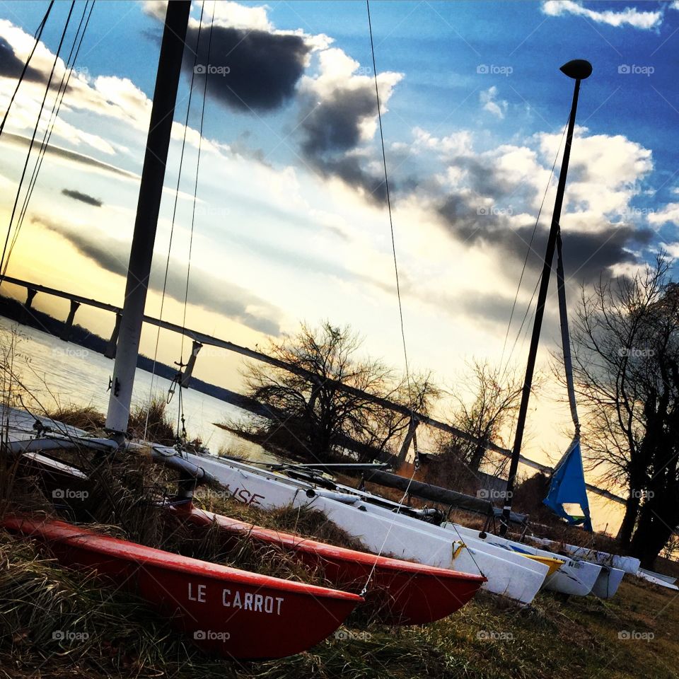 Le carrot. No longer shall I wave from the shore as sailors leave, I shall learn to be my own captain!