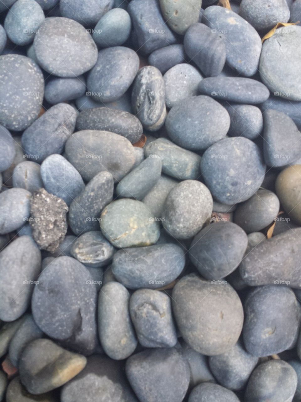 Pebbles