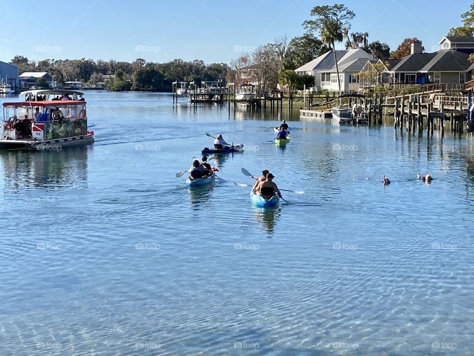 King’s Bay on the Crystal River 