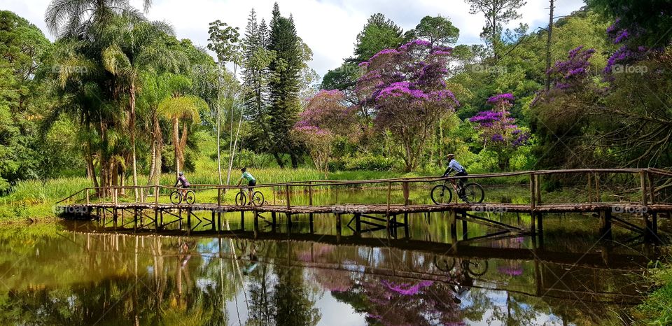 Bikers - bridge - Serra do Japi - Jundiaí  SP