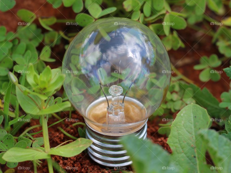 Macro lamp surround by nature
