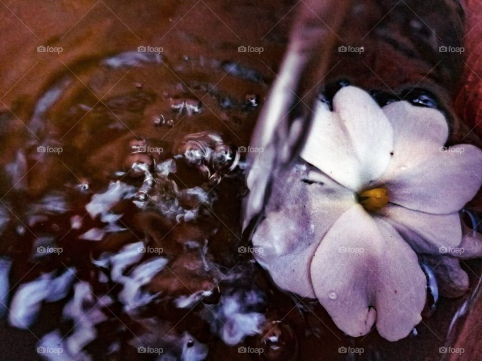 el agua es vida ...e imparte vida