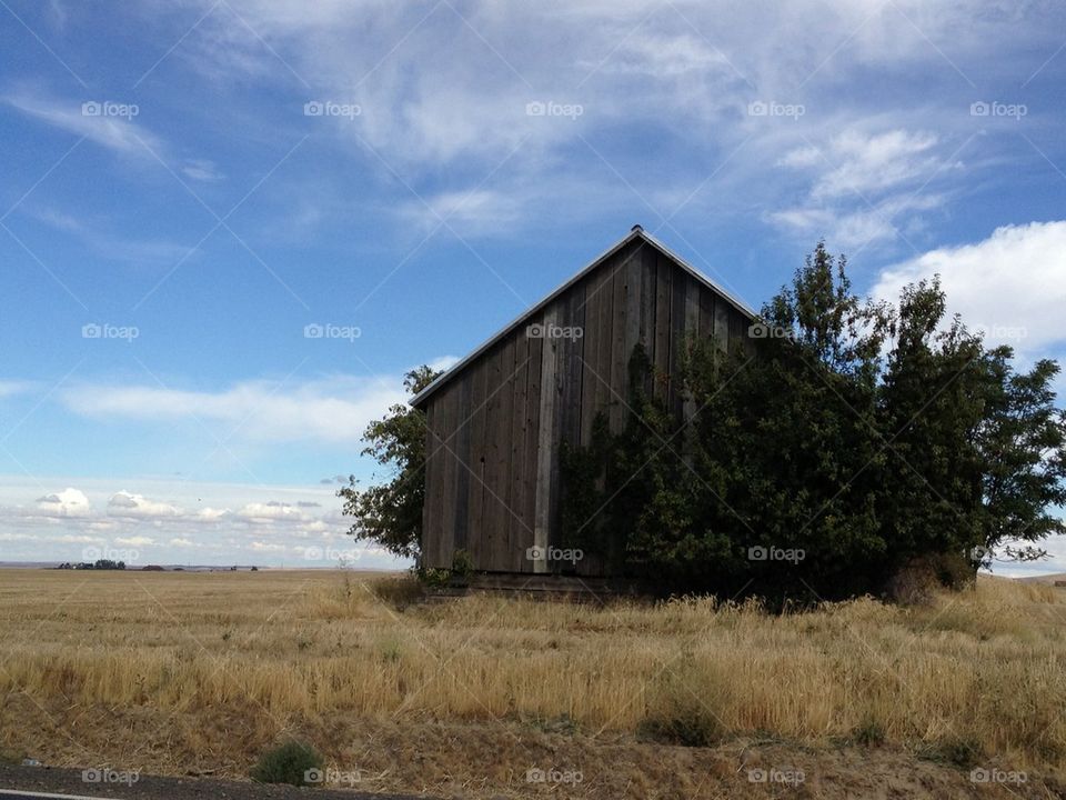 Old Barn