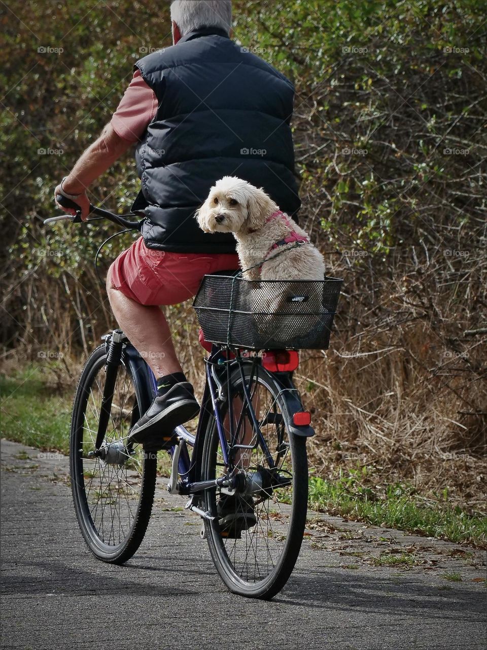 you're never too old to ride a bike