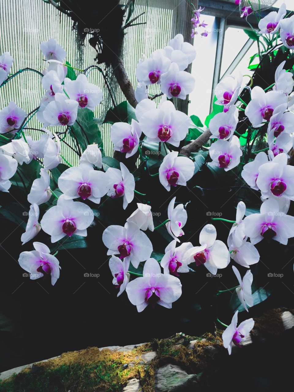 Forget your past, forgive yourself and begin again.