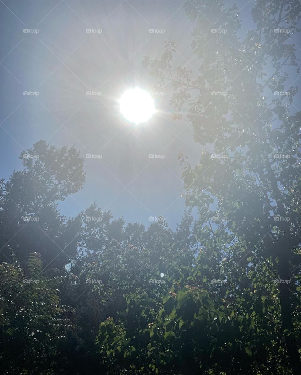 Sun beautiful gold aura.