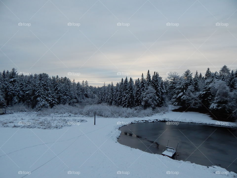 Snowy Day in Northern Maine - November 2015