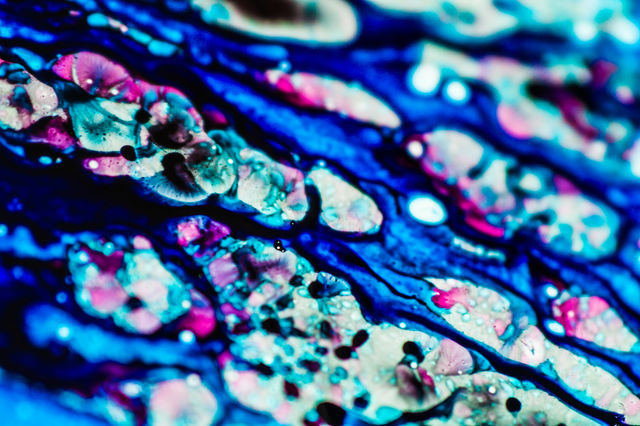 The ink to refill the printer cartridge was spilled onto the white washbasin and the paints blended into abstract drips and patterns.